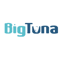 Big Tuna Web - Award Winning Agency in Gilbert
