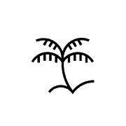 MamboMambo - Award Winning Agency in Québec