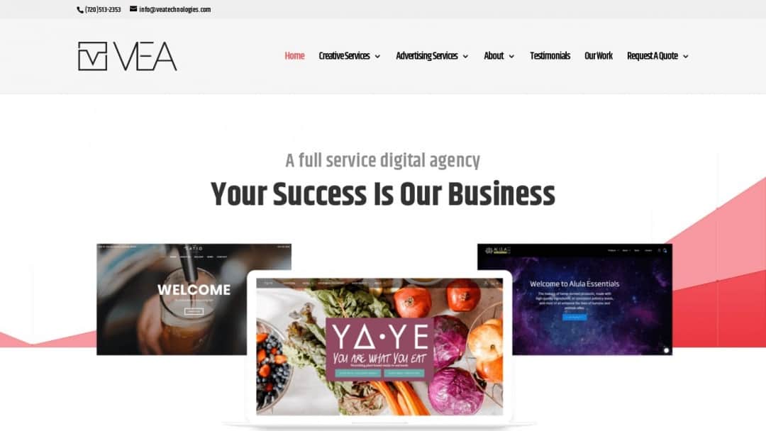 Screenshot of VEA Technologies's Website