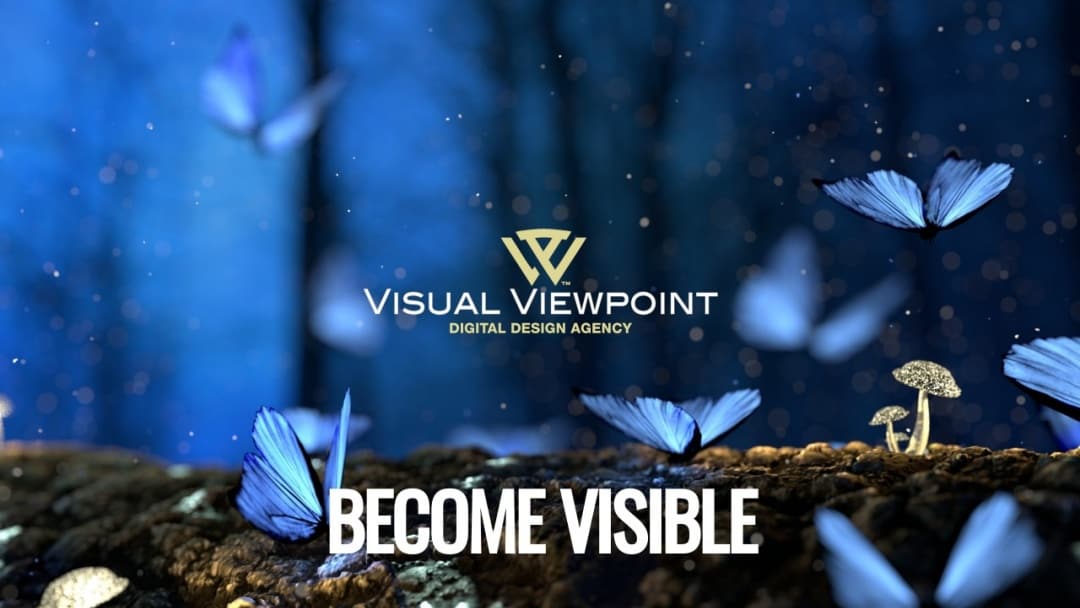 Screenshot of Visual Viewpoint, LLC's Website