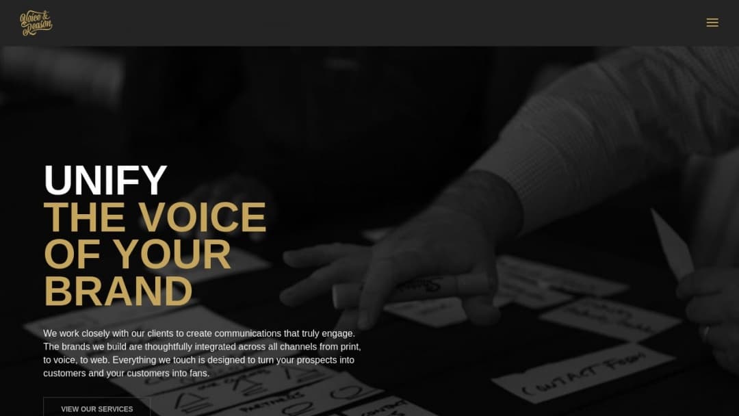 Screenshot of Voice & Reason's Website
