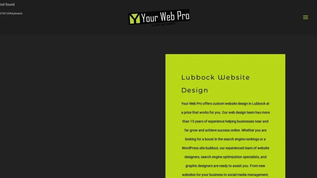 Screenshot of Your Web Pro's Website