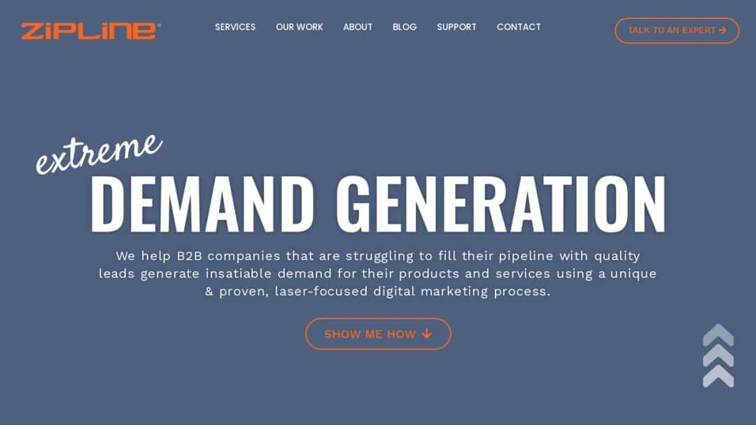 Screenshot of Zipline B2B Marketing's Website