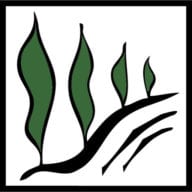 Toscana Marketing Group - Award Winning Agency in Tijeras