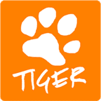 Tiger Web Designs - Award Winning Agency in Springfield