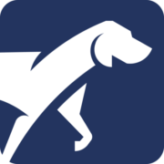 The Vet Marketing Firm - Award Winning Agency in Saint Petersburg