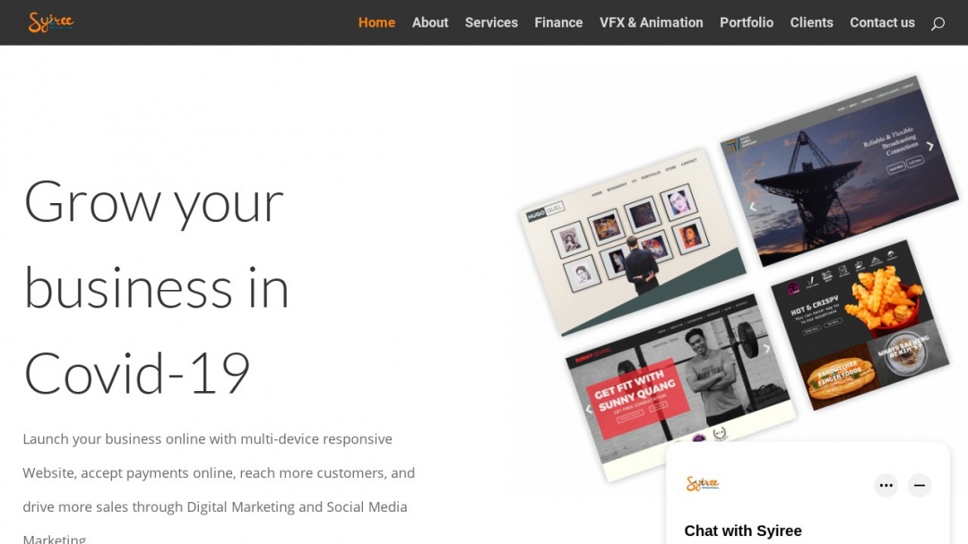 Screenshot of Syiree International's Website