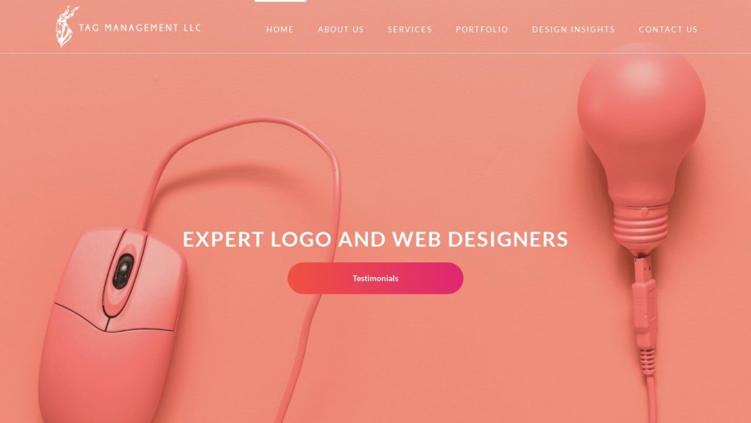 Screenshot of Tag Management llc's Website