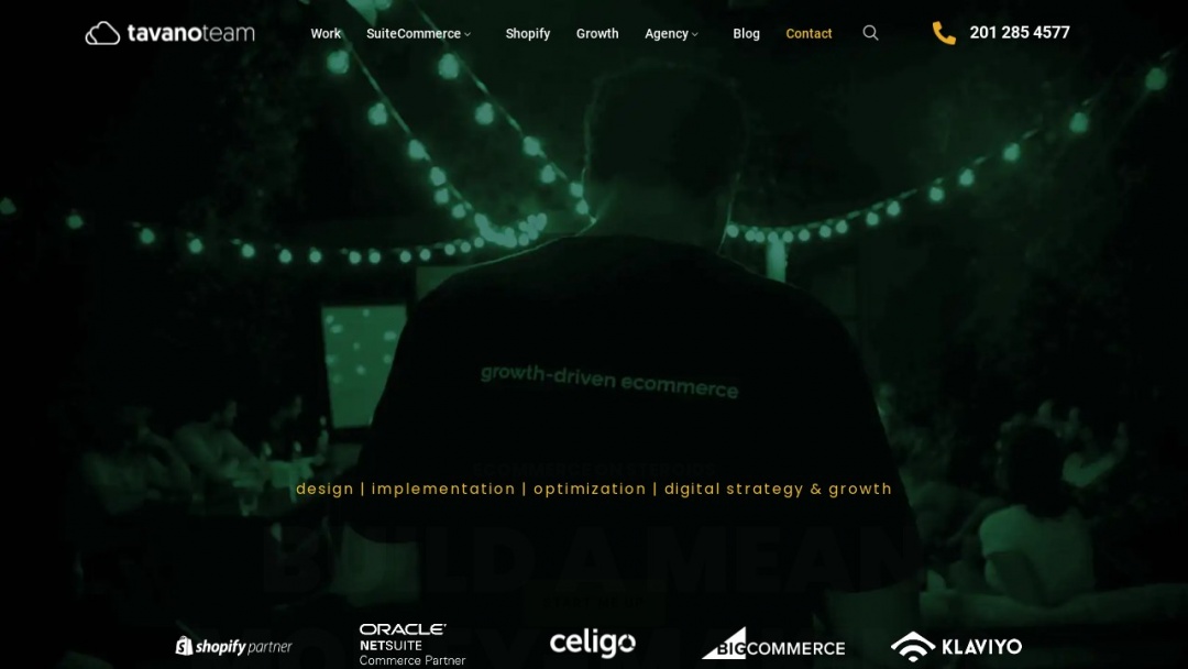 Screenshot of Tavano Team's Website