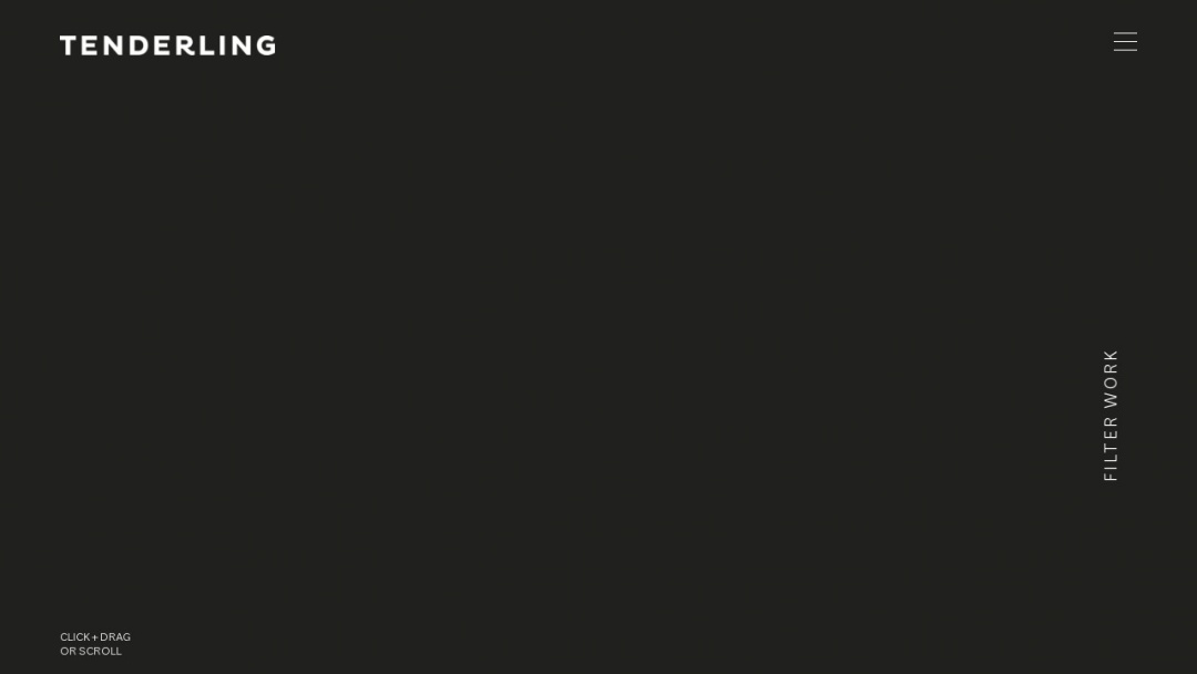 Screenshot of Tenderling Design's Website