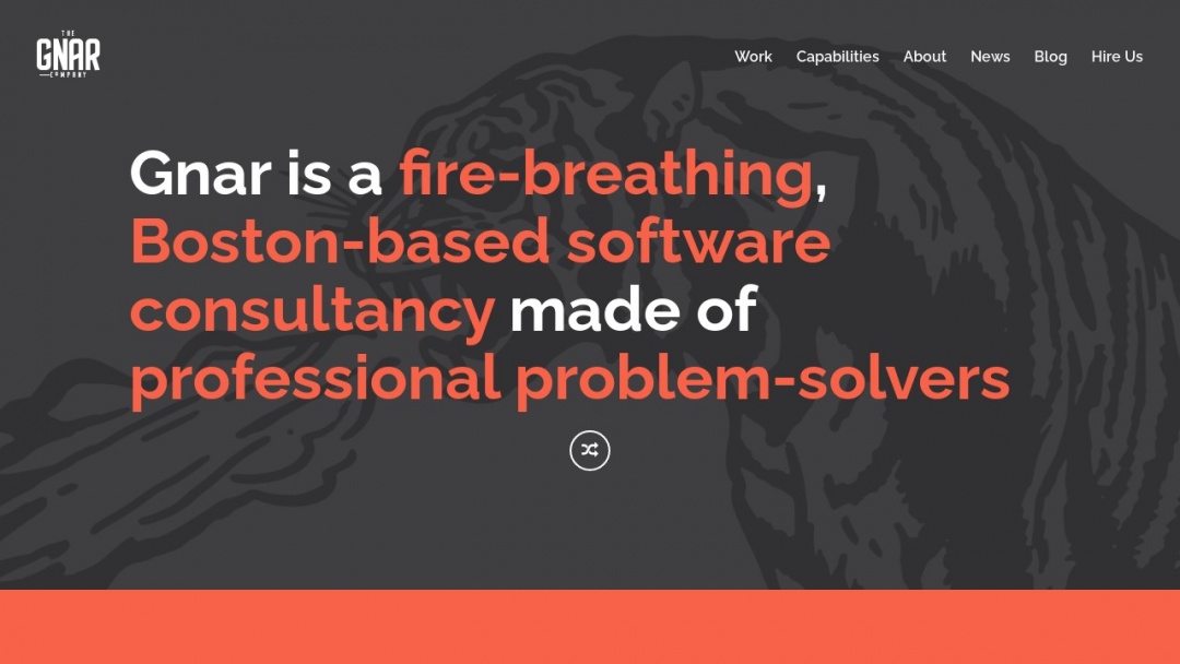 Screenshot of The Gnar Company's Website