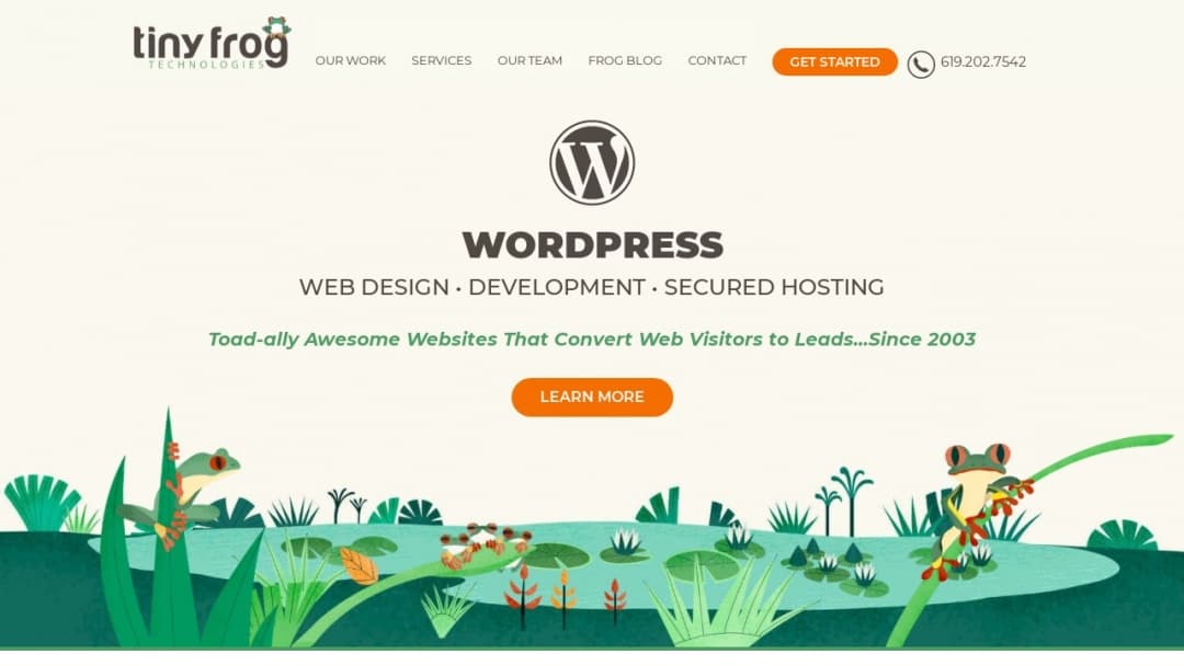 Screenshot of Tiny Frog Technologies's Website