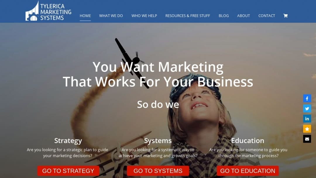 Screenshot of Tylerica Marketing Systems's Website