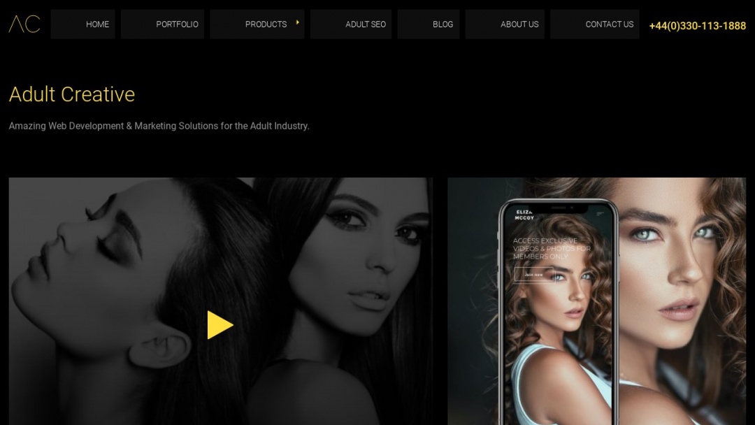 Screenshot of Adult Creative's Website