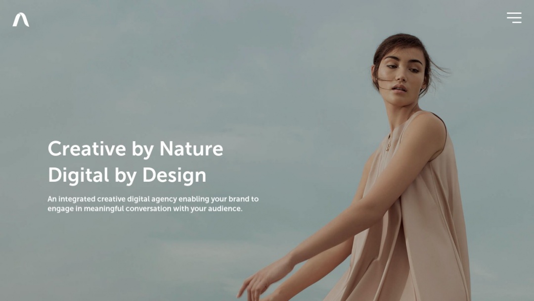 Screenshot of Appnova's Website