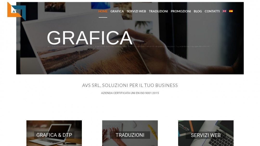 Screenshot of AVS's Website