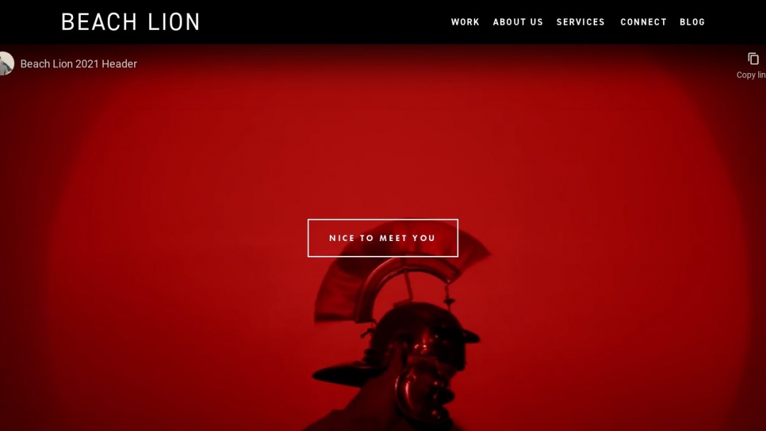 Screenshot of Beach Lion's Website