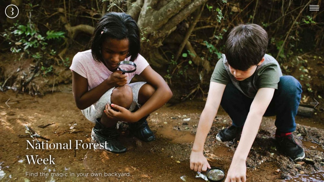 Screenshot of Brave New Day's Website