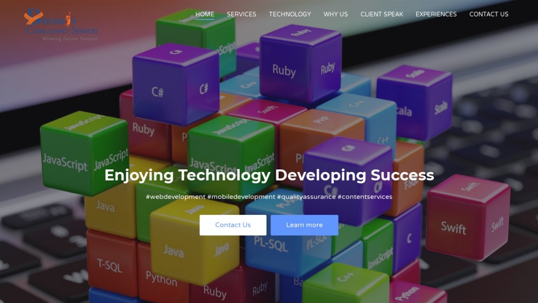 Screenshot of BrickWin Consultancy Services Private Limited's Website