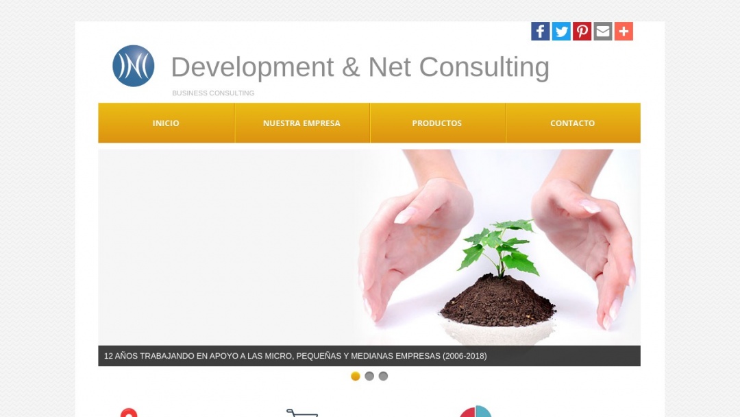 Screenshot of Development & Net Consulting's Website