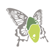 Cocoonfxmedia Ltd - Award Winning Agency in Lichfield