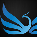 Blue Phoenix Creative - Award Winning Agency in Westwood