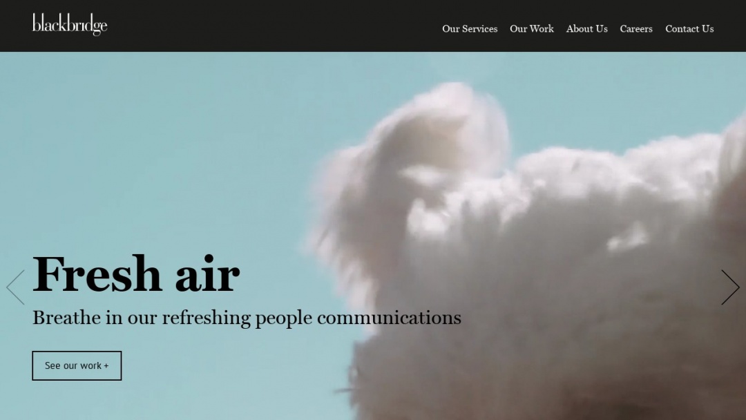 Screenshot of Blackbridge Communications's Website