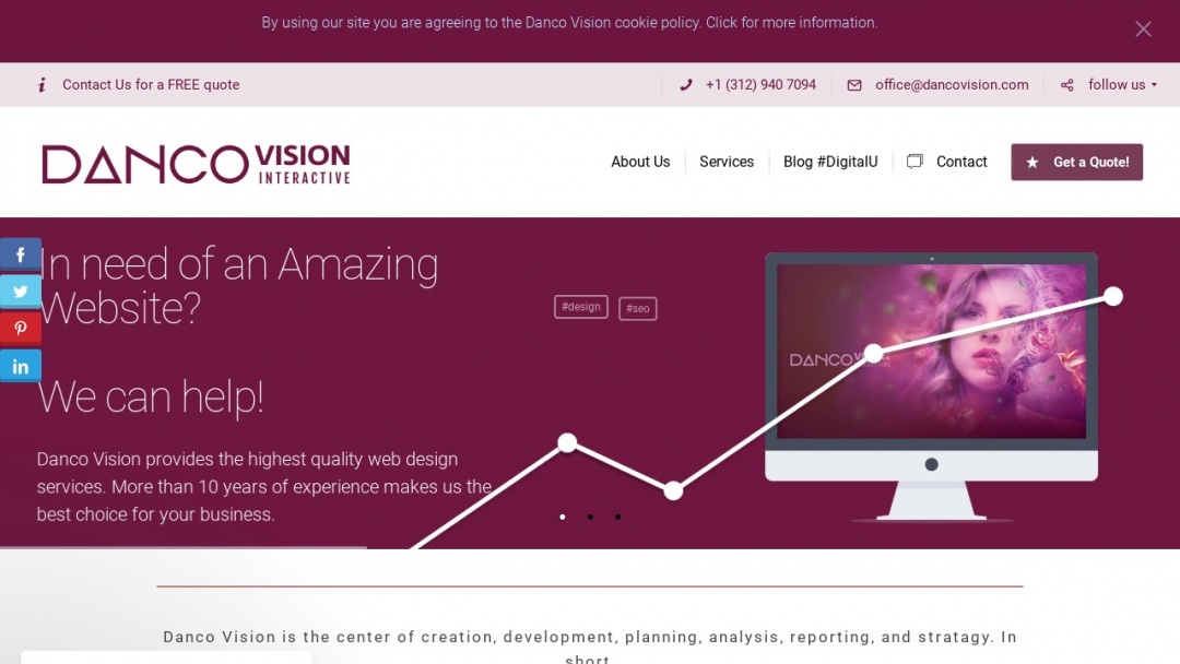 Screenshot of Danco Vision's Website