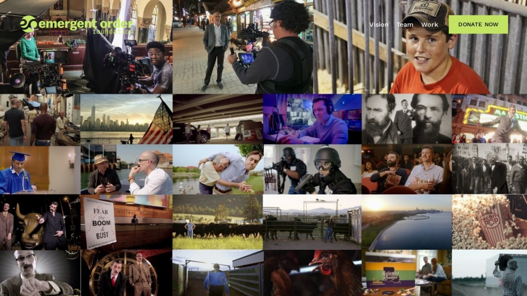 Screenshot of Emergent Order's Website