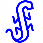 Blue Iguana Media - Award Winning Agency in Houston