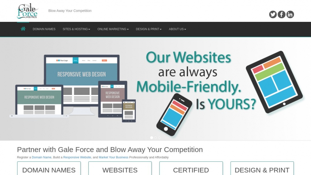 Screenshot of Gale Force Web Pros's Website