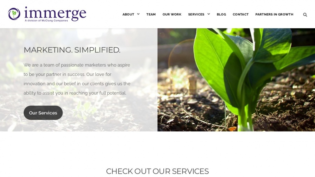 Screenshot of Immerge's Website
