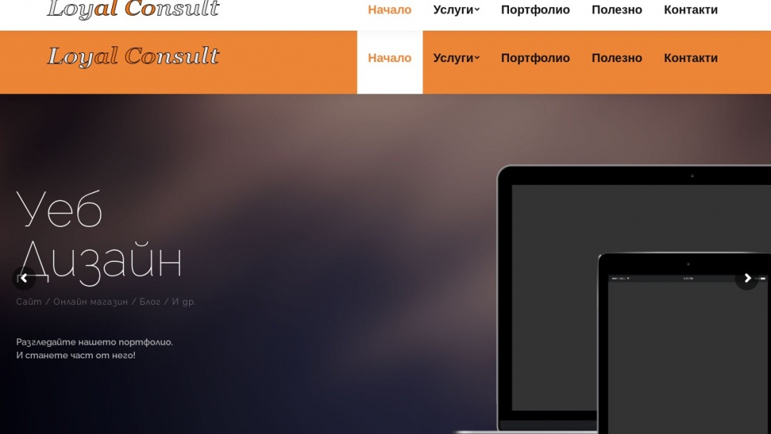 Screenshot of Loyal Consult's Website