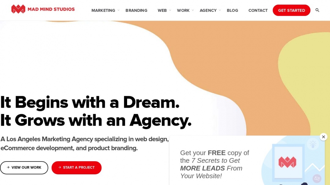 Screenshot of Mad Mind Studios's Website