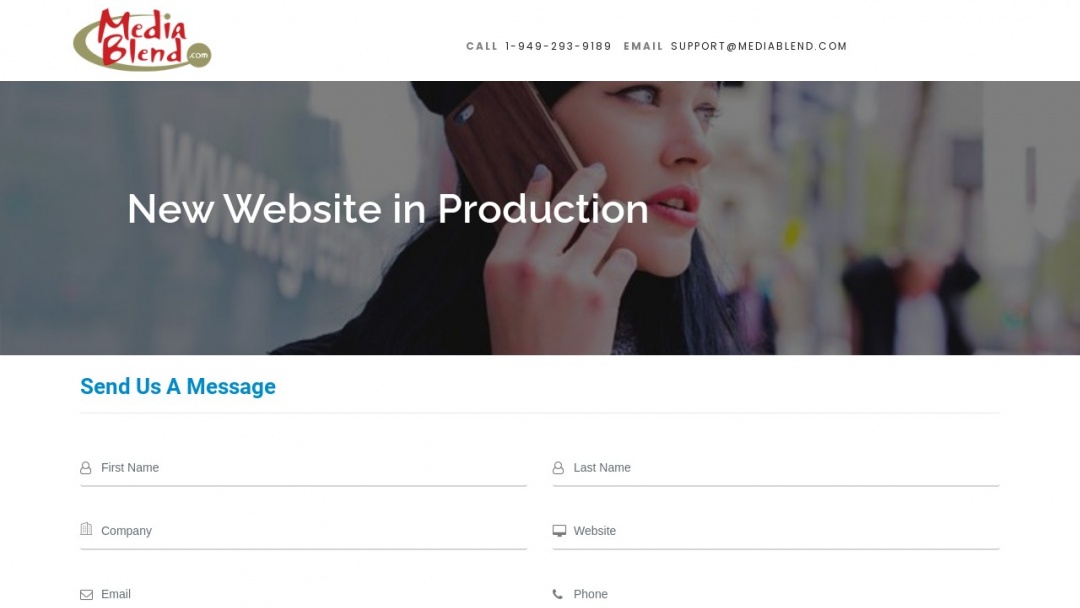 Screenshot of Media Blend's Website