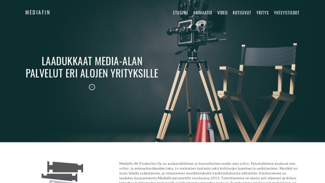 Screenshot of MediaFin's Website