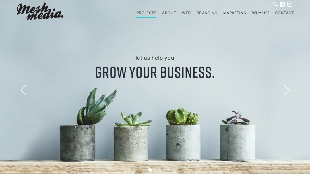 Screenshot of Meshmedia's Website