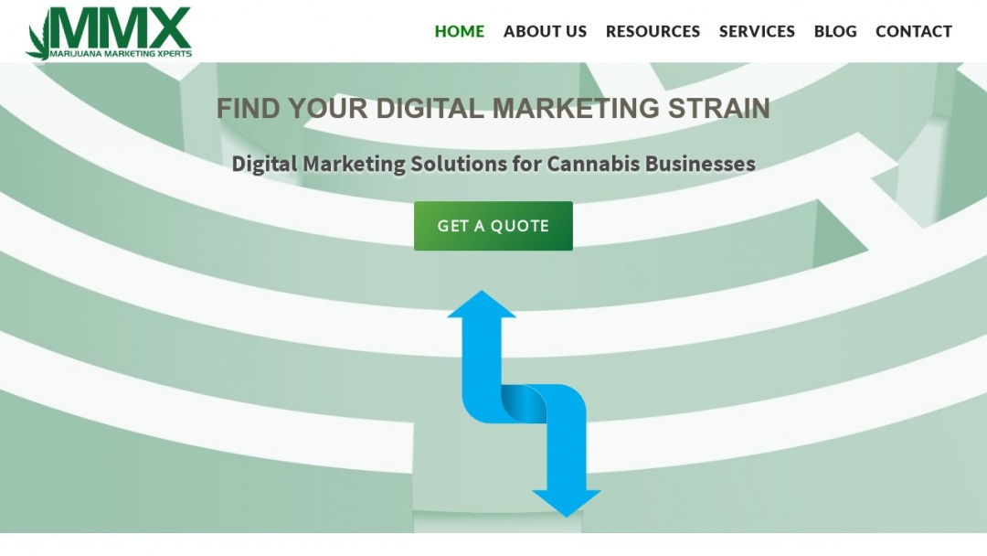 Screenshot of MMX's Website