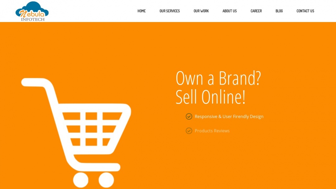 Screenshot of Nebula Infotech's Website