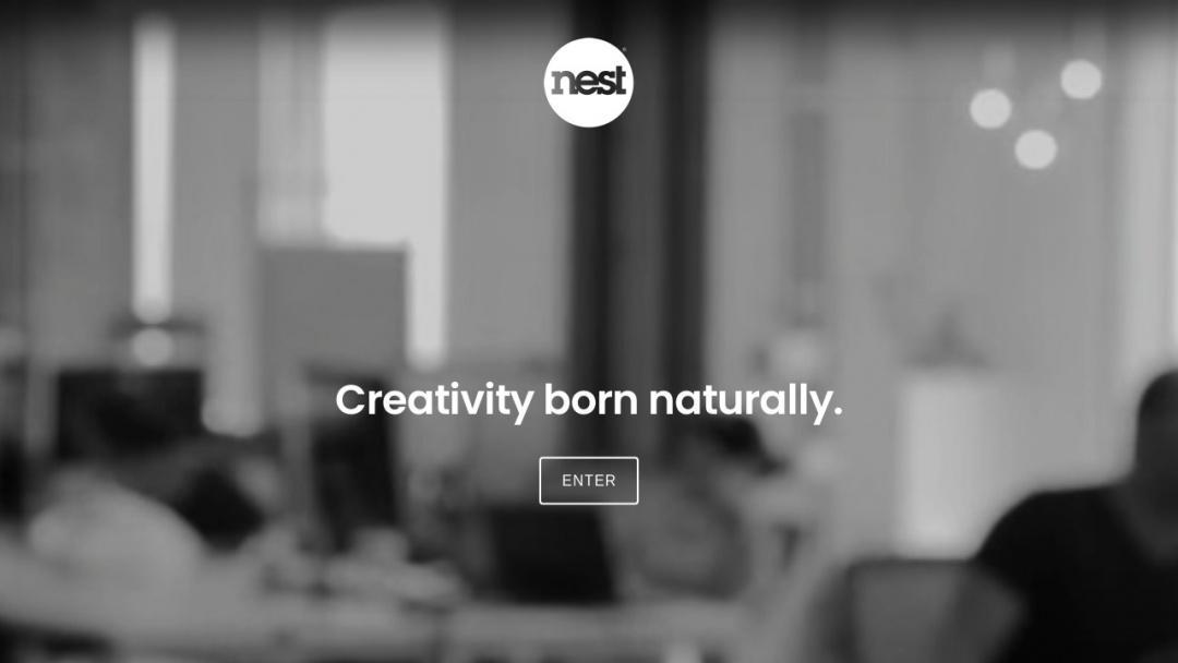 Screenshot of Nest Creative's Website
