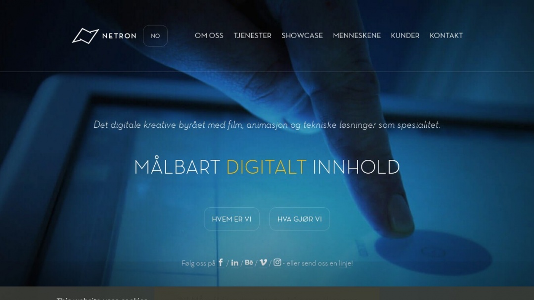 Screenshot of Netron AS's Website