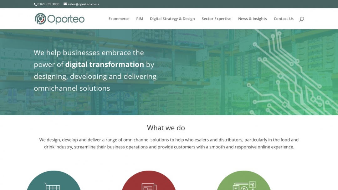 Screenshot of Oporteo's Website