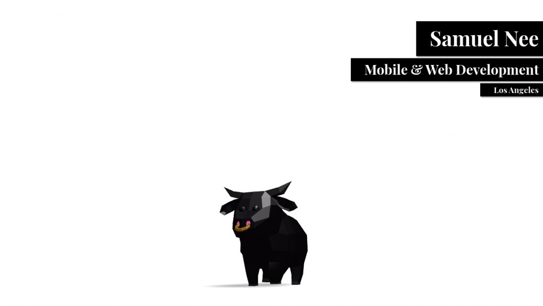 Screenshot of Samuel Nee Web Development and Consulting's Website