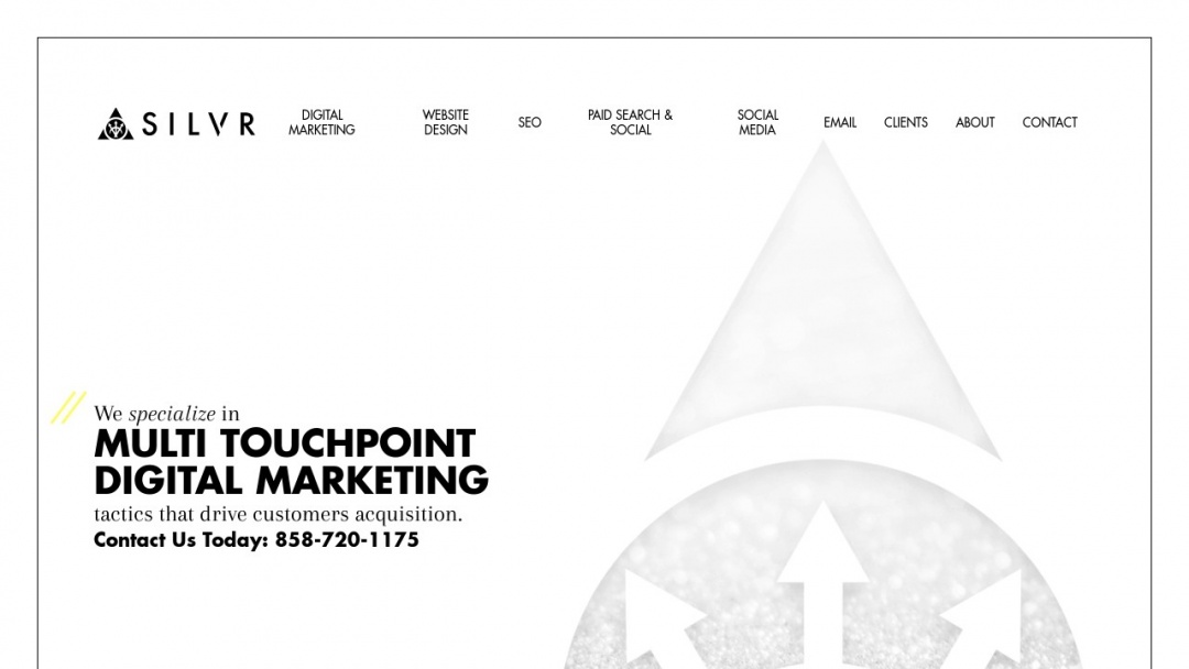 Screenshot of SILVR Social's Website