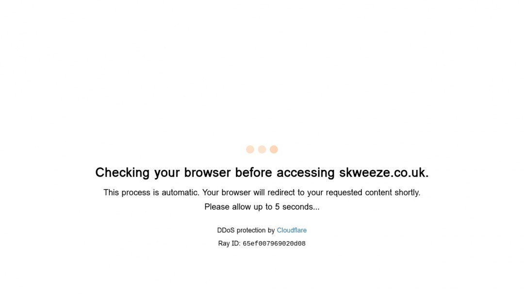 Screenshot of Skweeze Ltd's Website