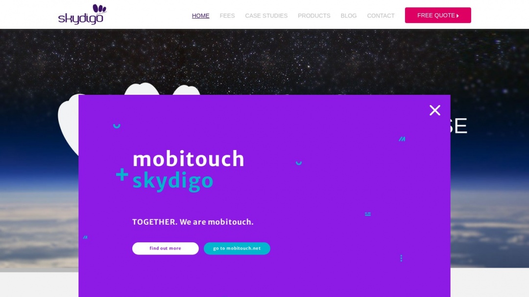 Screenshot of skydigo's Website