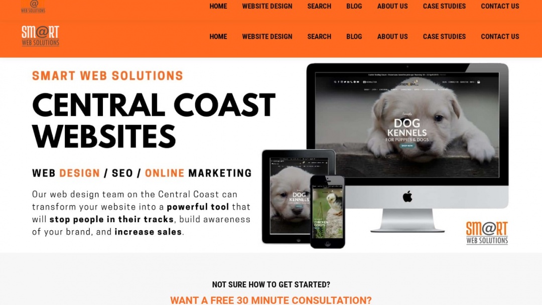 Screenshot of Smart Web Solutions's Website