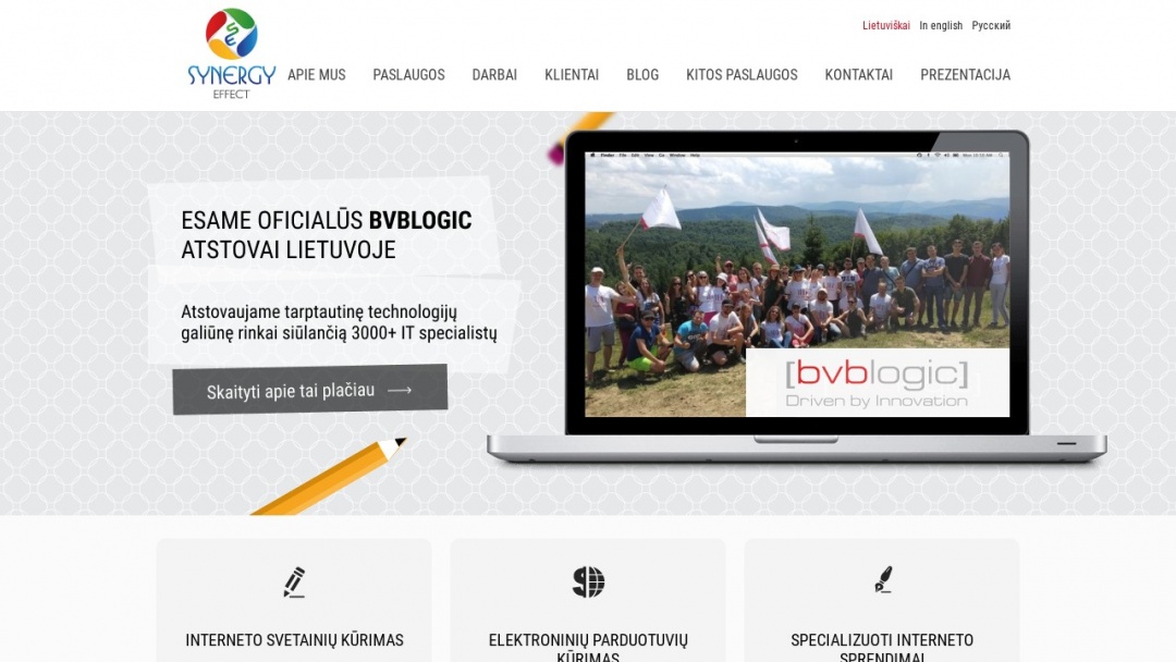 Screenshot of Synergy Effect's Website