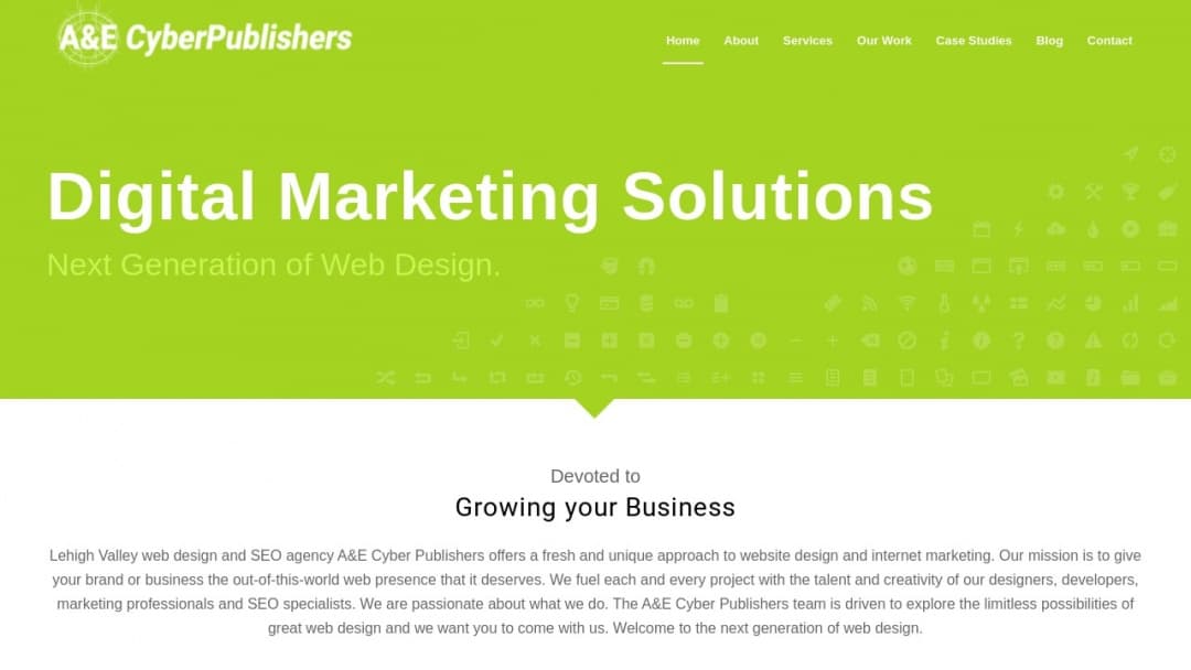 Screenshot of A & E Cyber Publishers's Website