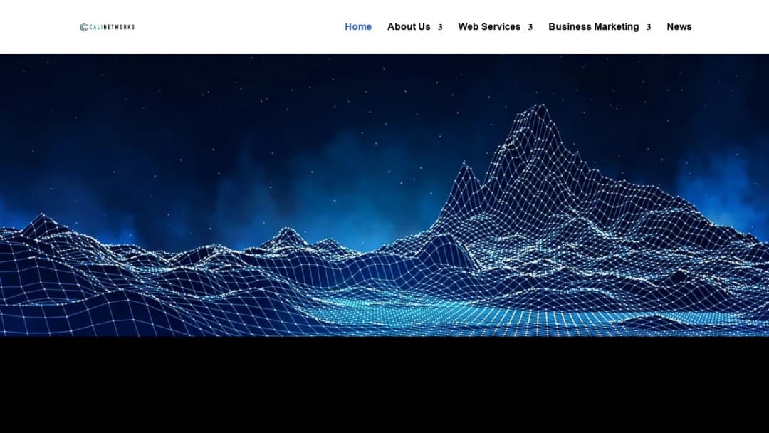 Screenshot of CaliNetworks's Website